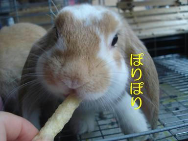 DSC00692.JPG