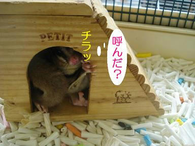 DSC00770.JPG