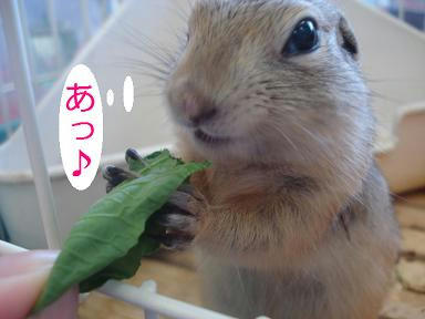 DSC00939.JPG