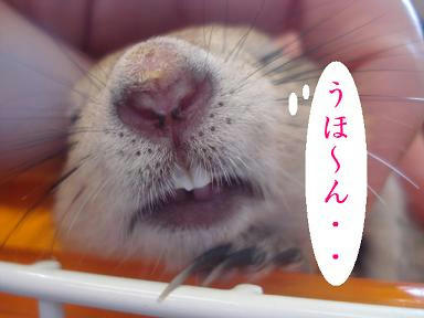 DSC00961.JPG