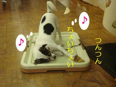 DSC00916.JPG