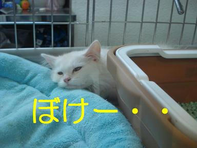 DSC01698.JPG
