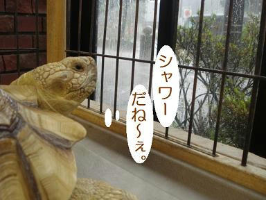 DSC01798.JPG