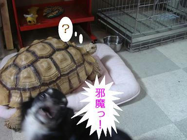DSC01980.JPG