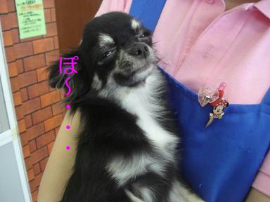 DSC01986.JPG