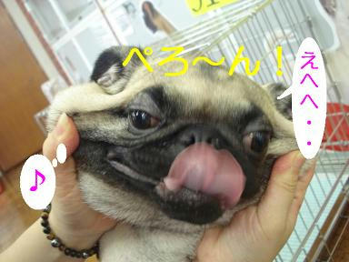 DSC02032.JPG