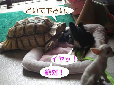 DSC02040.JPG