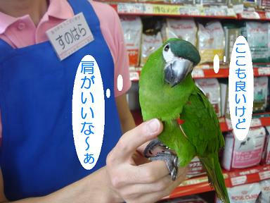 DSC02093.JPG