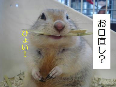 DSC02174.JPG
