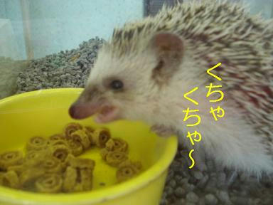 b5d70b85.jpeg