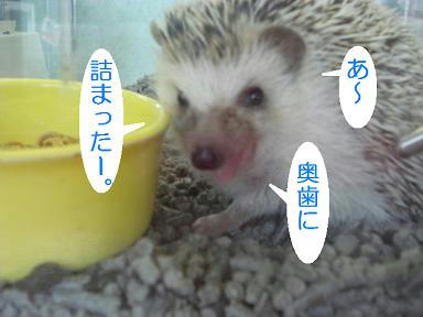 DSC02232.JPG