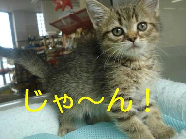 DSC02518.JPG