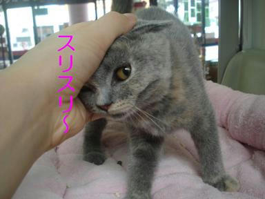 DSC02545.JPG