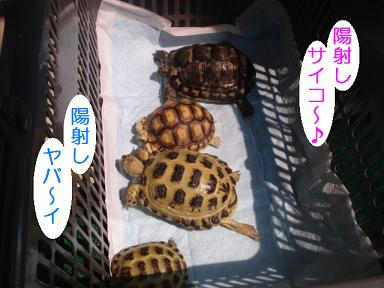 DSC02854.JPG