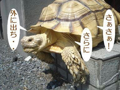 222219d2.jpeg