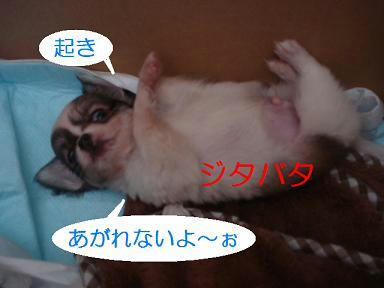 DSC02794.JPG