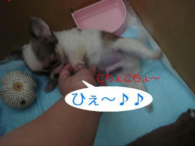 DSC02893.JPG