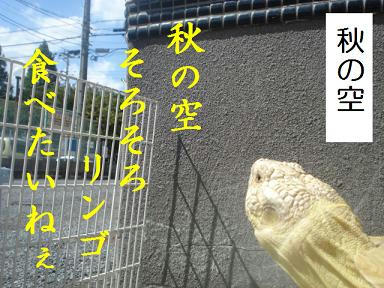 e84b4e65.jpeg