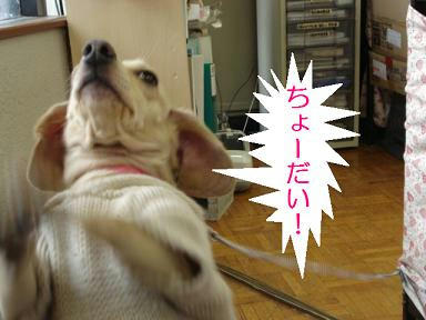 DSC05136.JPG
