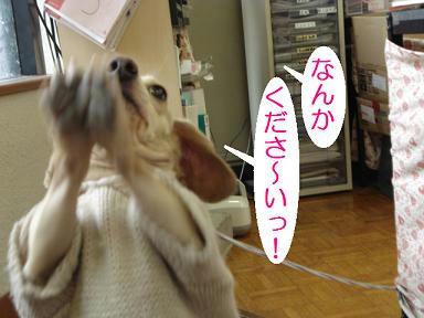 DSC05135.JPG