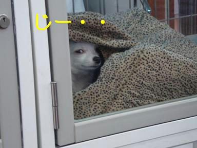 3da0182d.jpeg