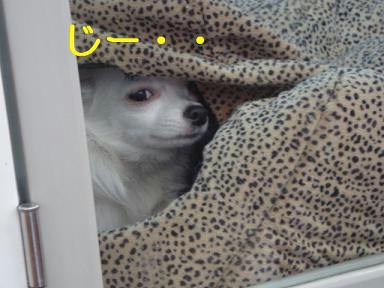 42fe8ab1.jpeg