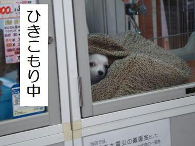 DSC05114.JPG