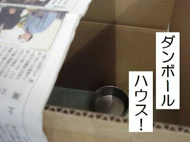 4a1b340d.jpeg