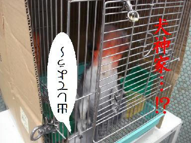 DSC05349.JPG