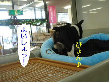 DSC05417.JPG