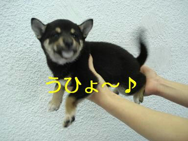 DSC05630.JPG