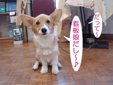DSC05737.JPG