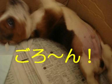 DSC06287.JPG