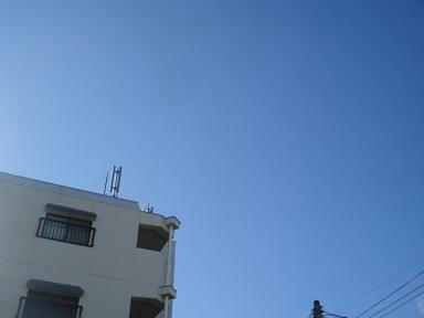 DSC06411.JPG
