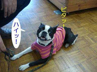 DSC06568.JPG