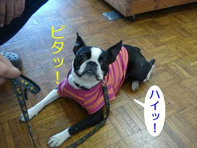 DSC06569.JPG