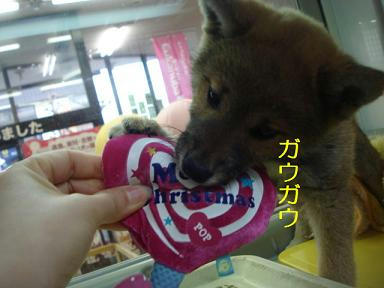 DSC07200.JPG