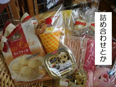 DSC07293.JPG