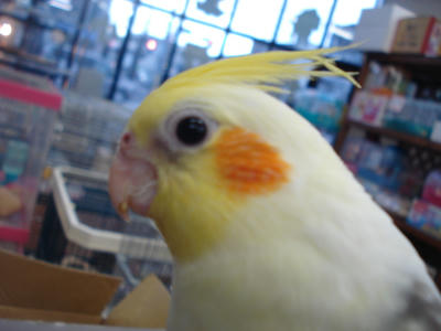 DSC07353.JPG