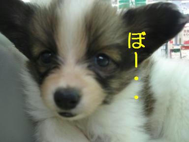 DSC07588.JPG