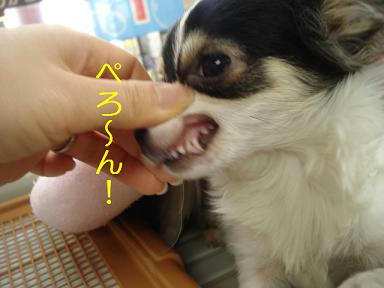 DSC07658.JPG
