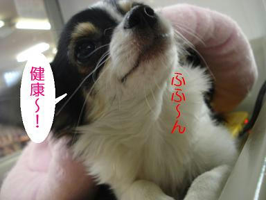 DSC07643.JPG