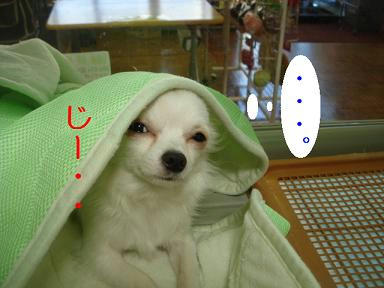 DSC07743.JPG