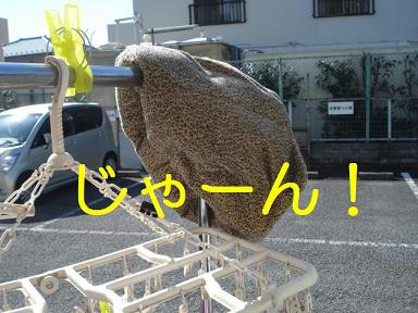 DSC07761.JPG