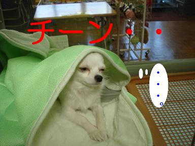 DSC07740.JPG