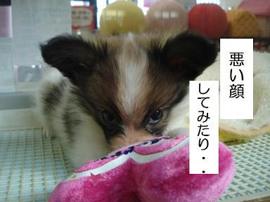 DSC07804.JPG