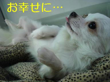 DSC09012.JPG