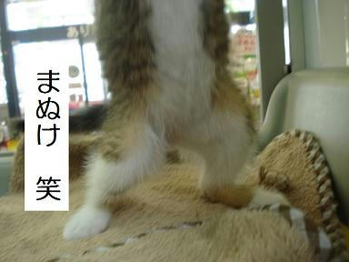 DSC00186.JPG
