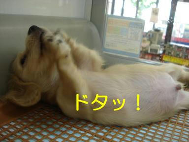 DSC00319.JPG