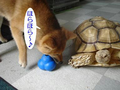 DSC00475.JPG